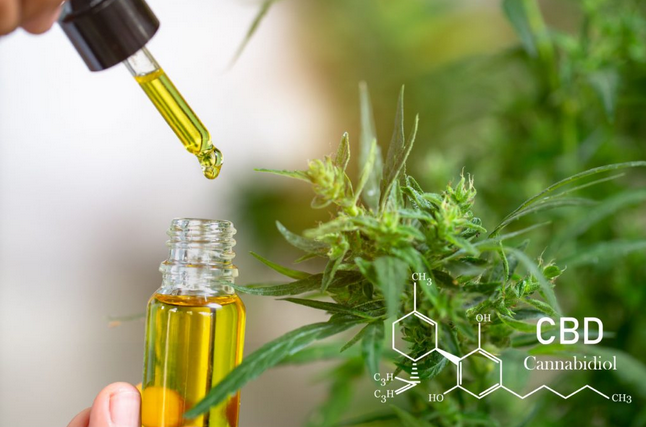 Buy CBD Oil And Hemp Online!