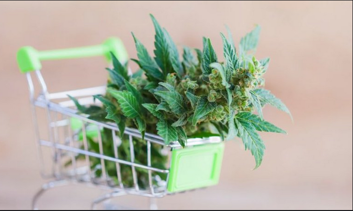 Why Should You Buy From An Online canada dispensary?