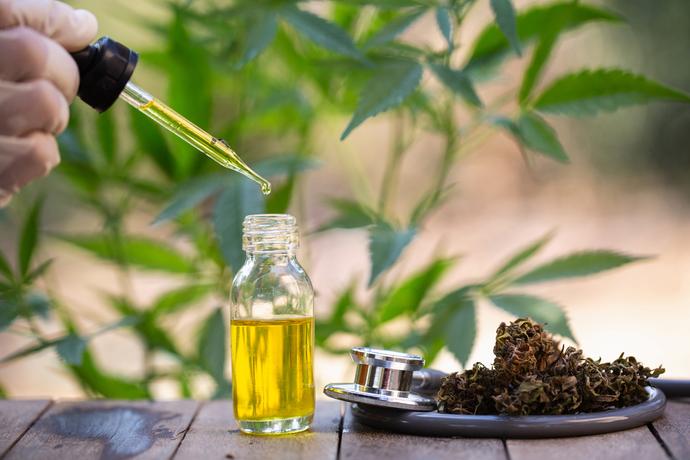 Buy the best Herb CBD cannabis herbs at CBD therapy