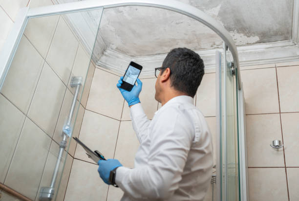 Mold Testing Explained: Getting a Free Inspection Done Right